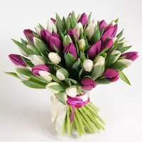 Букет из фиолетовых и белых тюльпанов Микс, 51 шт. №689